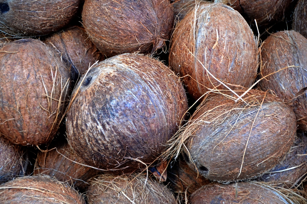 Semi Husk Coconut — exported by Raka Trading Co.