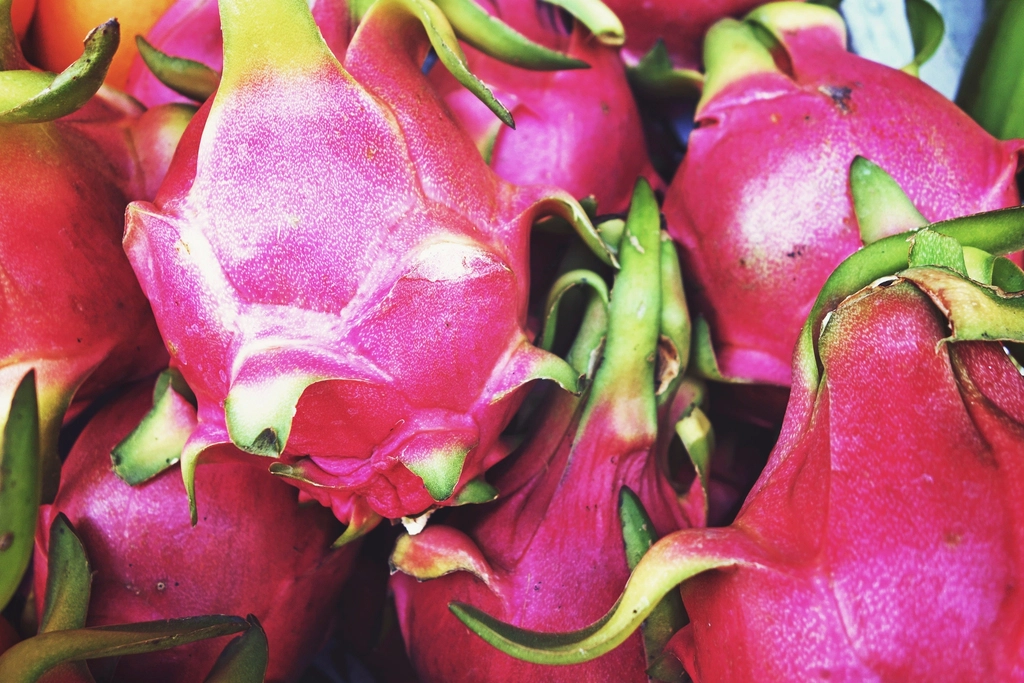 Dragon Fruit — imported by Raka Trading Co.
