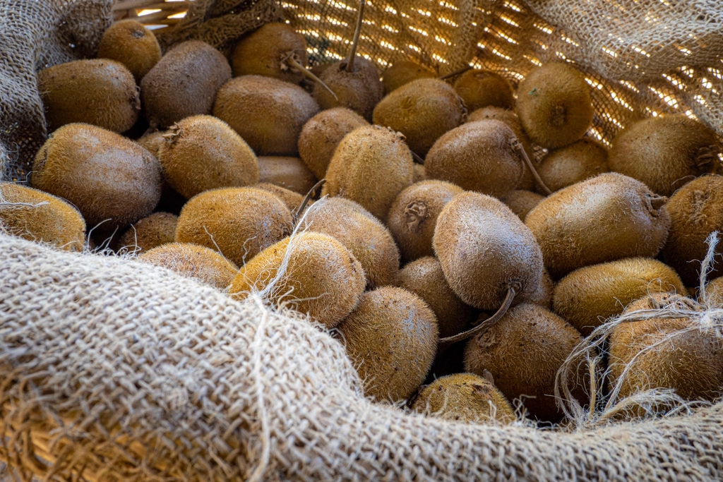 Kiwi — imported by Raka Trading Co.