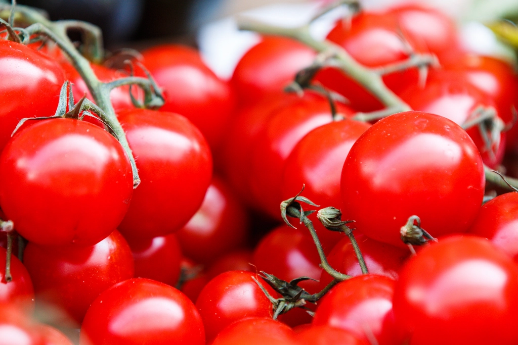 Tomatoes — exported by Raka Trading Co.